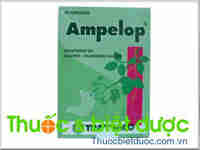 Ampelop