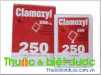 Clamoxyl 250mg