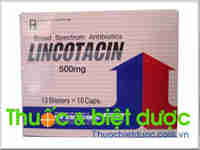 Lincotacin 500mg