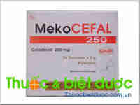 Meko cloxacin 250mg