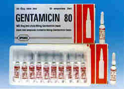 Gentamicin 80mg/2ml