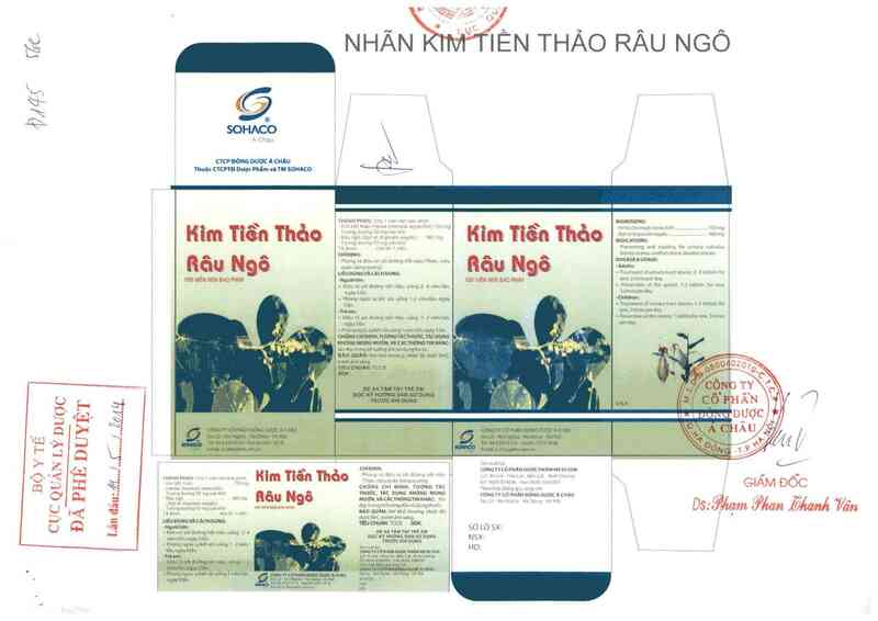 thông tin, cách dùng, giá thuốc Kim tiền thảo râu ngô - ảnh 0