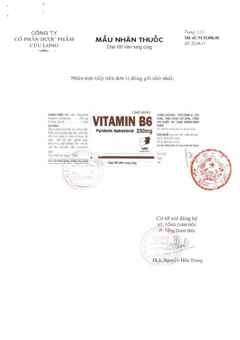 thông tin, cách dùng, giá thuốc Vitamin B6 250 mg - ảnh 1