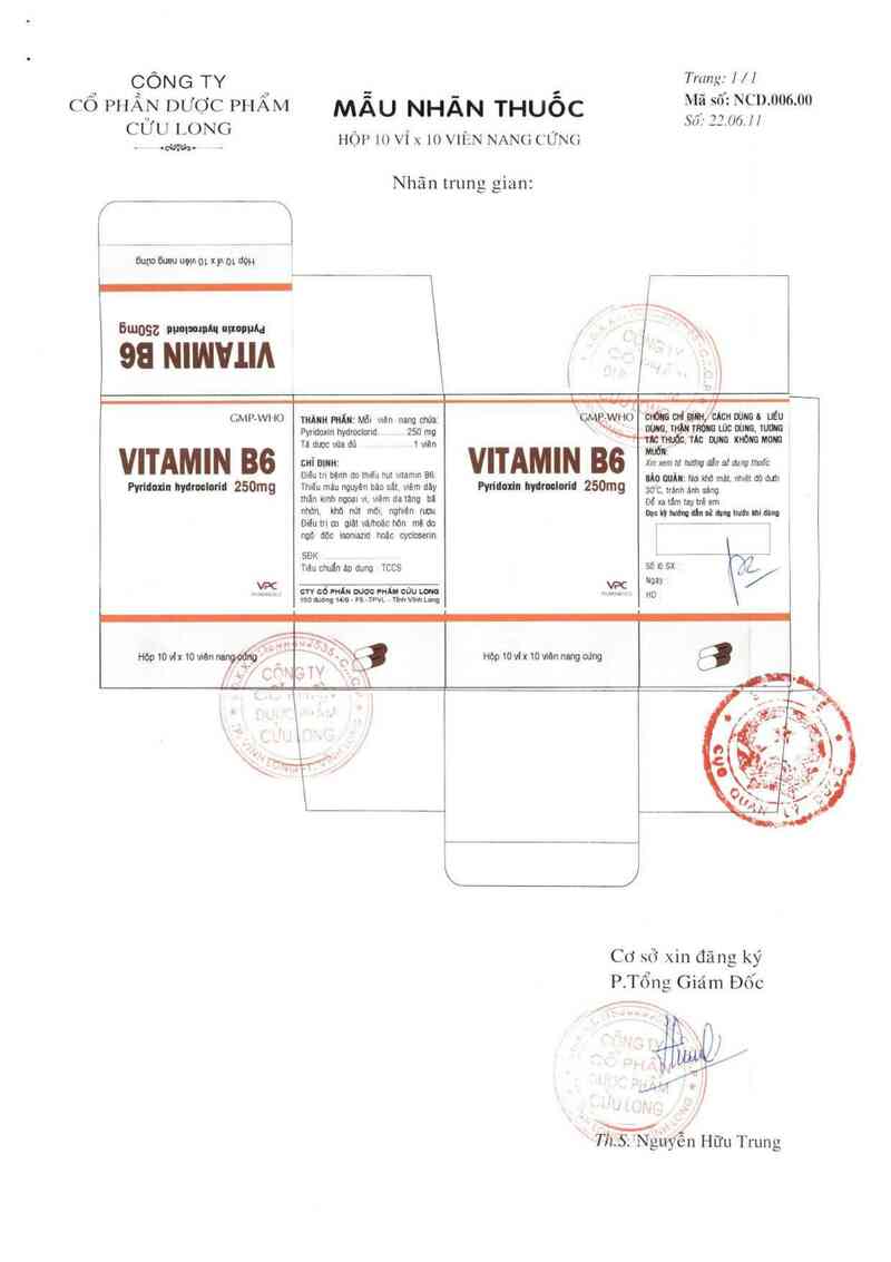 thông tin, cách dùng, giá thuốc Vitamin B6 250 mg - ảnh 2