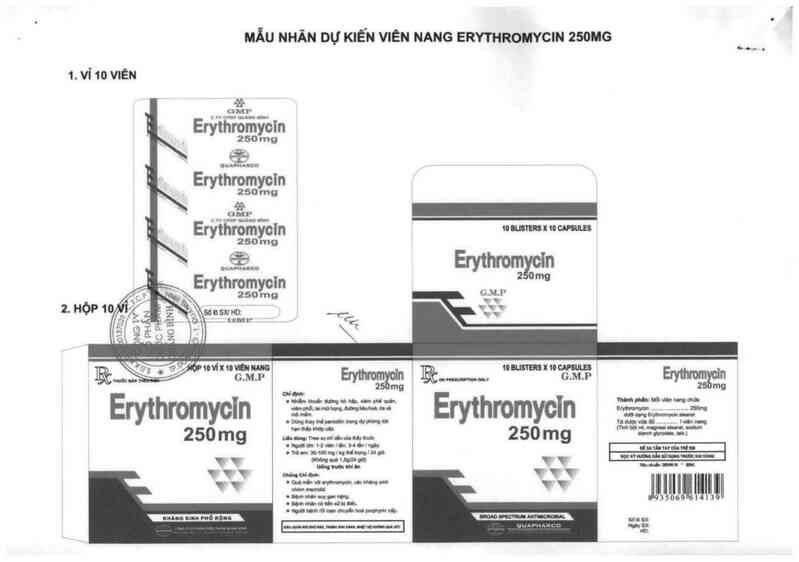 thông tin, cách dùng, giá thuốc Erythromycin 250 mg - ảnh 0