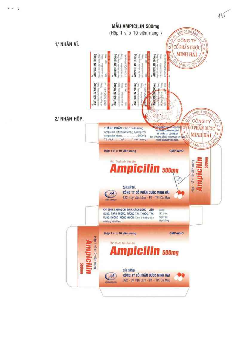 thông tin, cách dùng, giá thuốc Ampicilin 500 mg - ảnh 0