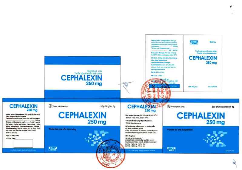 thông tin, cách dùng, giá thuốc Cephalexin 250 mg - ảnh 1