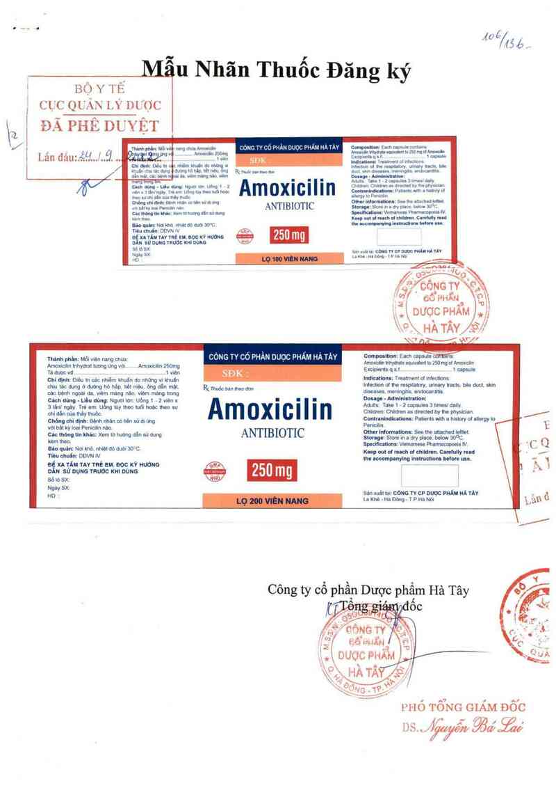 thông tin, cách dùng, giá thuốc Amoxicilin 250 mg - ảnh 0