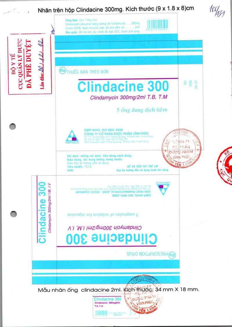 thông tin, cách dùng, giá thuốc Clindacine 300 - ảnh 0