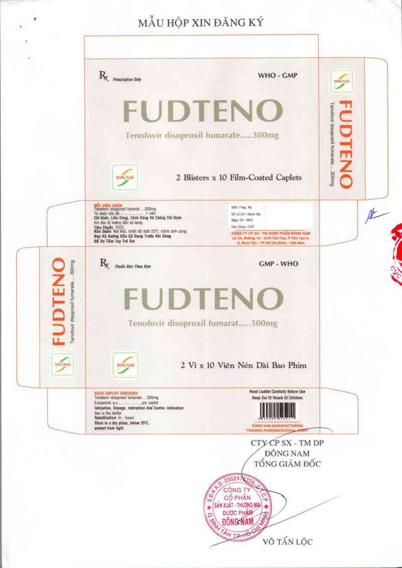 thông tin, cách dùng, giá thuốc Fudteno 300 mg - ảnh 1