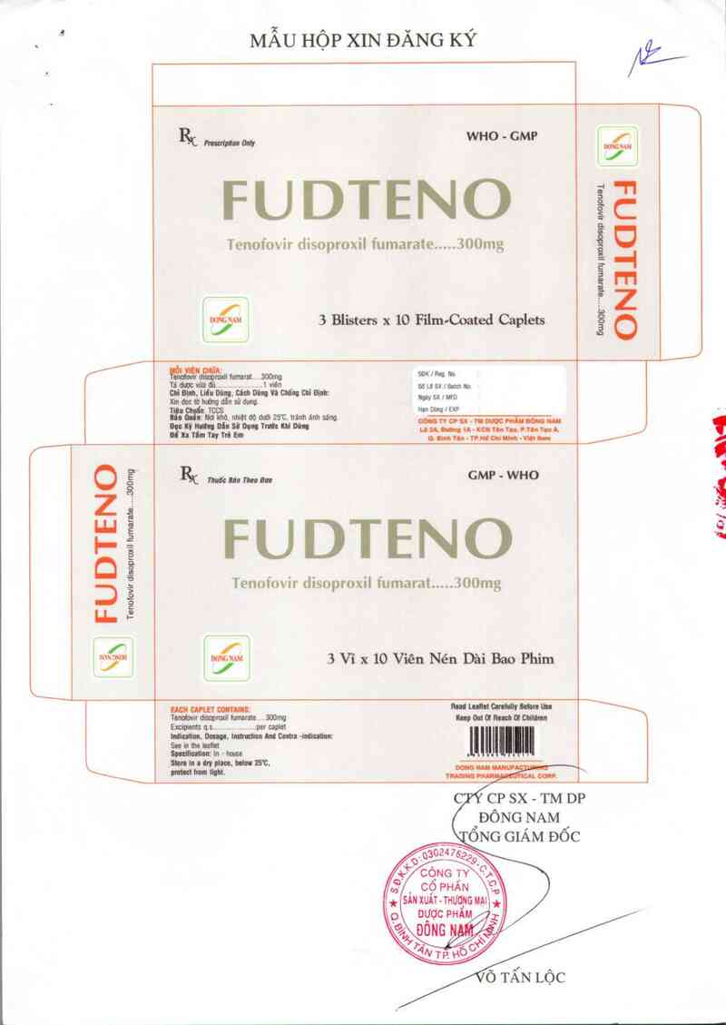 thông tin, cách dùng, giá thuốc Fudteno 300 mg - ảnh 2