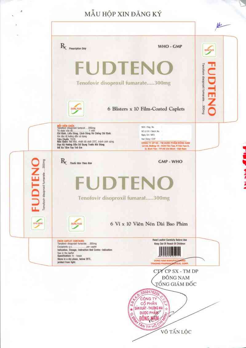 thông tin, cách dùng, giá thuốc Fudteno 300 mg - ảnh 3