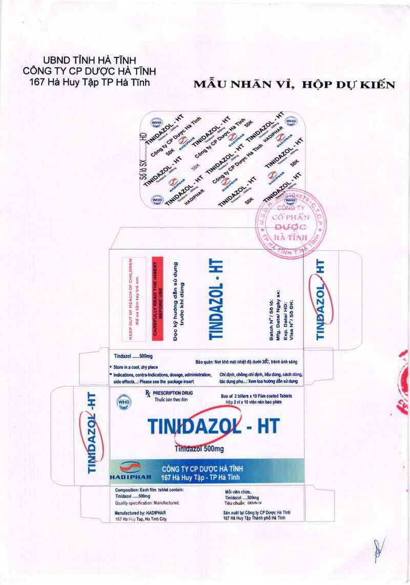 thông tin, cách dùng, giá thuốc Tinidazol HT - ảnh 2