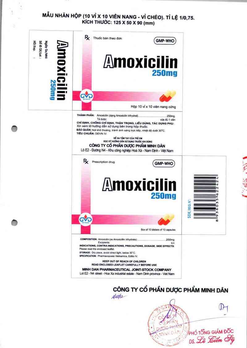 thông tin, cách dùng, giá thuốc Amoxicilin 250mg - ảnh 1