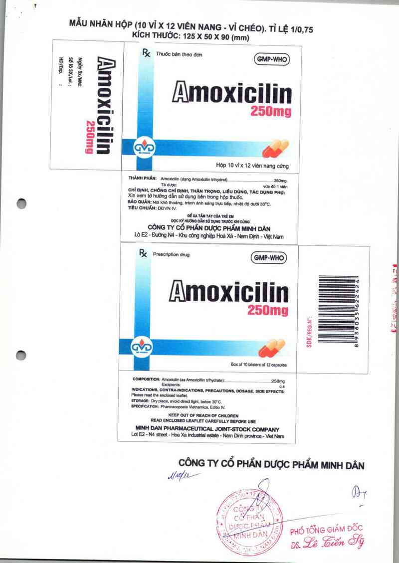 thông tin, cách dùng, giá thuốc Amoxicilin 250mg - ảnh 2