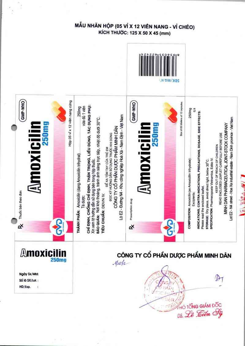 thông tin, cách dùng, giá thuốc Amoxicilin 250mg - ảnh 3