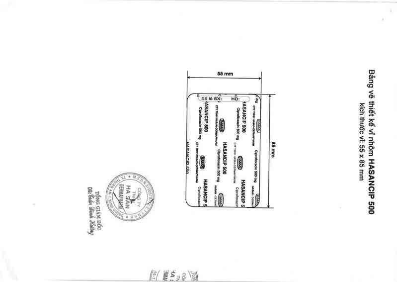 thông tin, cách dùng, giá thuốc Hasancip 500 - ảnh 1