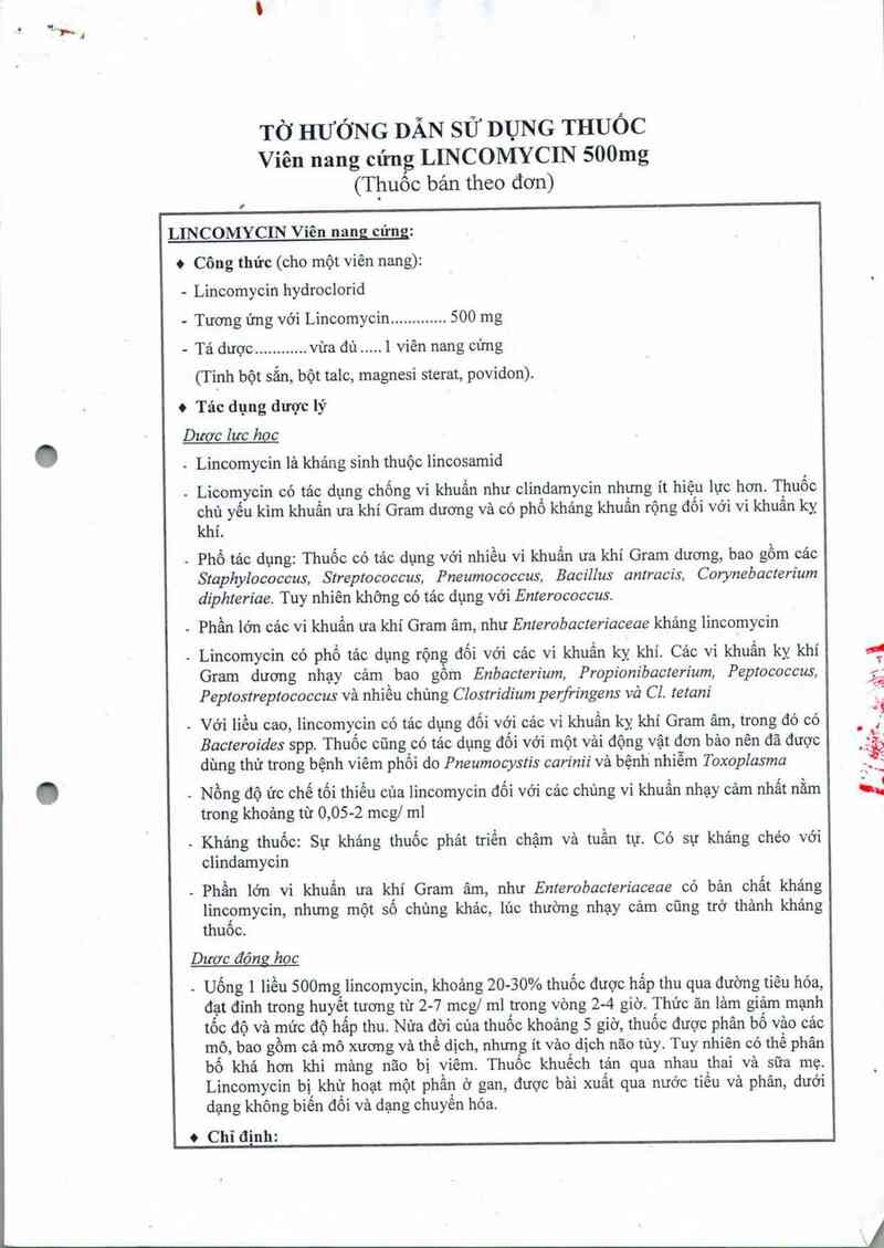 thông tin, cách dùng, giá thuốc Lincomycin 500 mg - ảnh 2