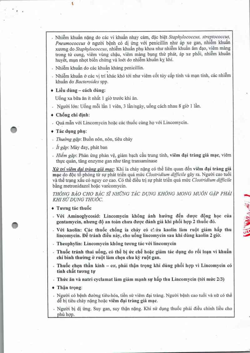 thông tin, cách dùng, giá thuốc Lincomycin 500 mg - ảnh 3