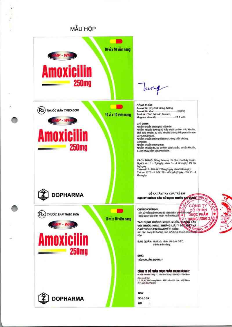 thông tin, cách dùng, giá thuốc Amoxicilin 250 mg - ảnh 1