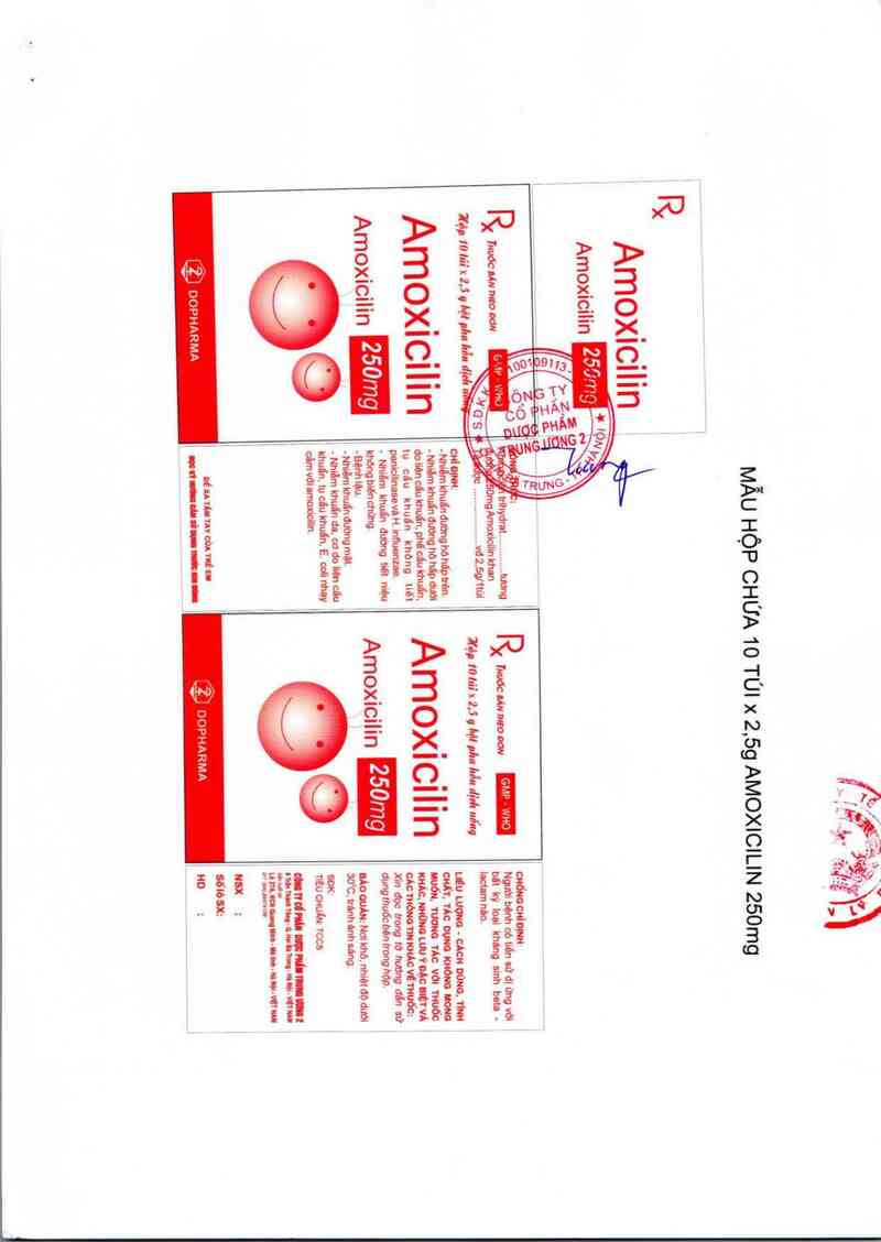 thông tin, cách dùng, giá thuốc Amoxicilin 250 mg - ảnh 1