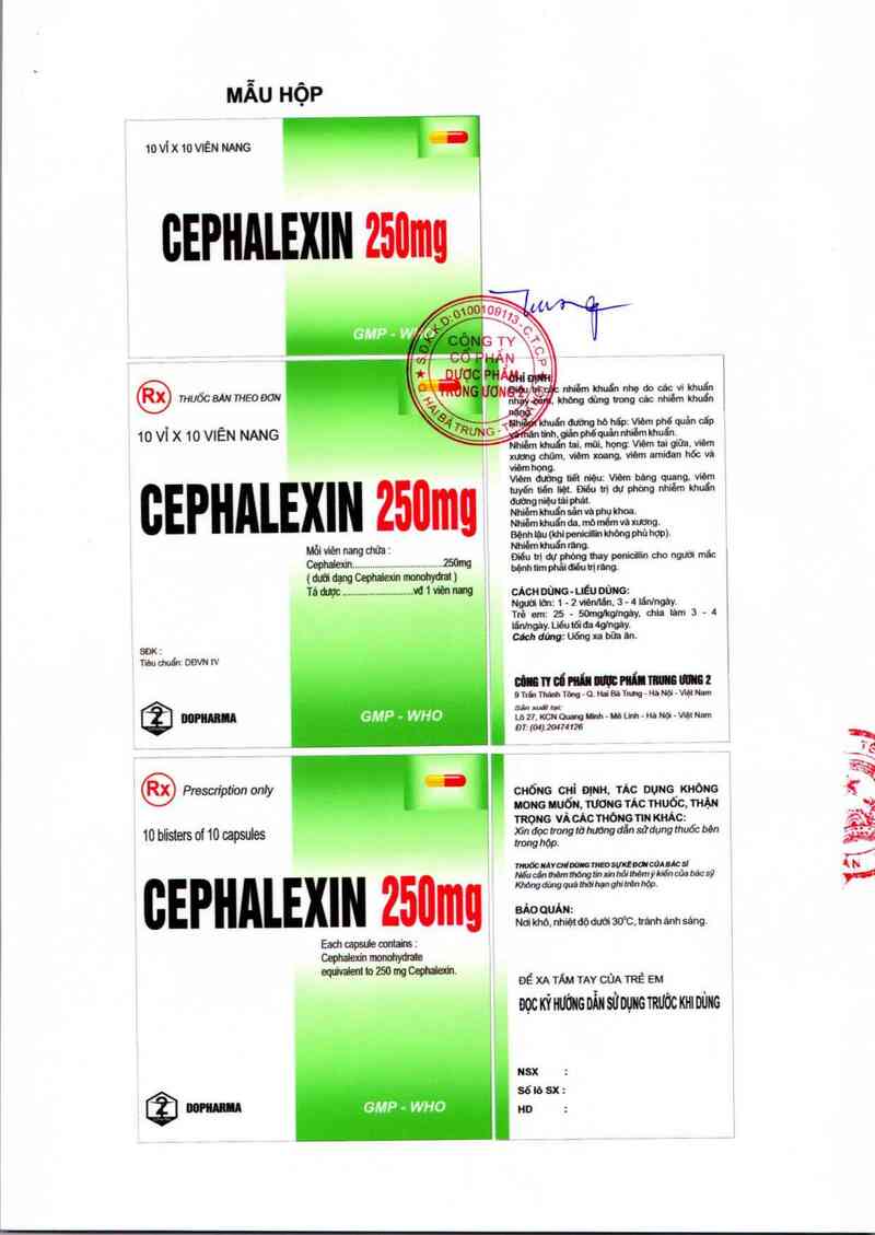 thông tin, cách dùng, giá thuốc Cephalexin 250 mg - ảnh 1