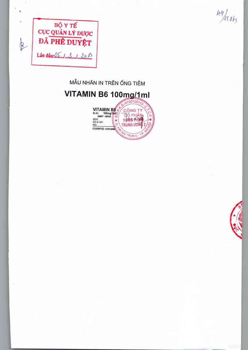 thông tin, cách dùng, giá thuốc Vitamin B6 100 mg/1 ml - ảnh 0