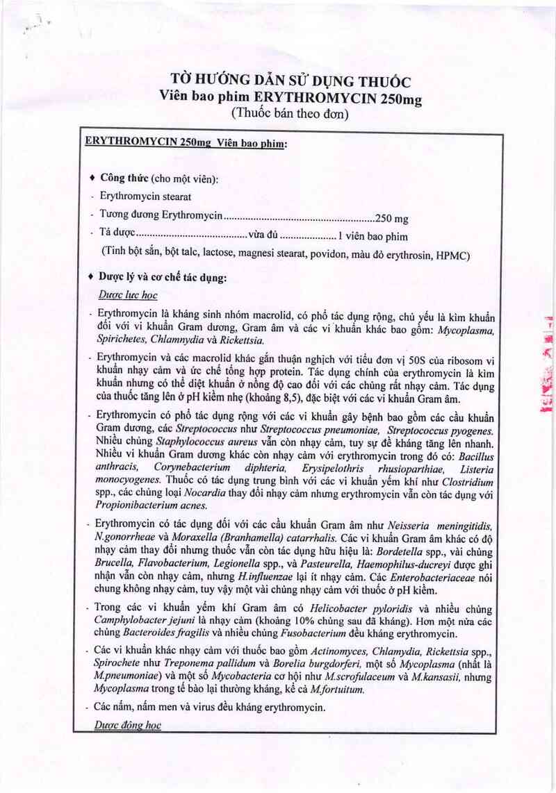 thông tin, cách dùng, giá thuốc Erythromycin 250 mg - ảnh 2