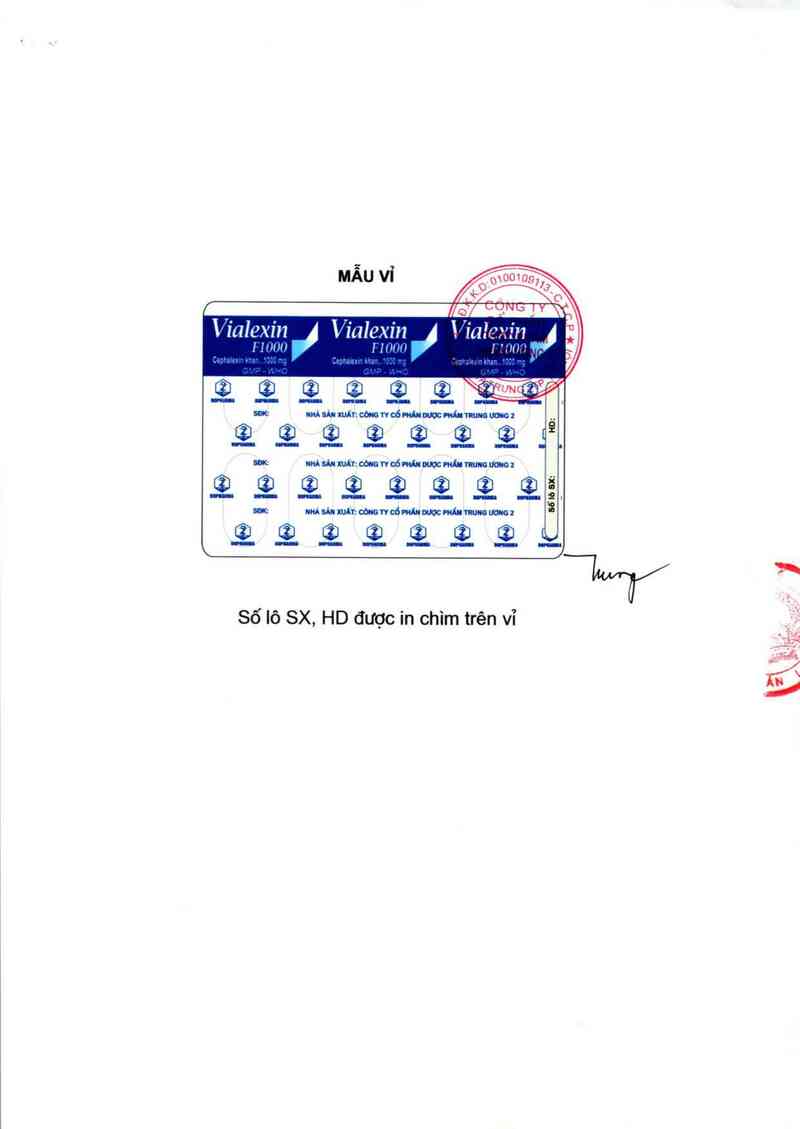 thông tin, cách dùng, giá thuốc Vialexin-F1000 - ảnh 2