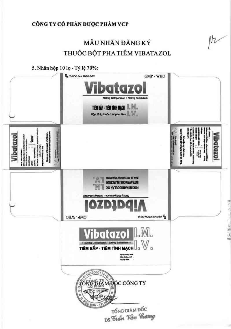 thông tin, cách dùng, giá thuốc Vibatazol - ảnh 3