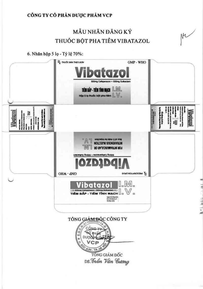 thông tin, cách dùng, giá thuốc Vibatazol - ảnh 4