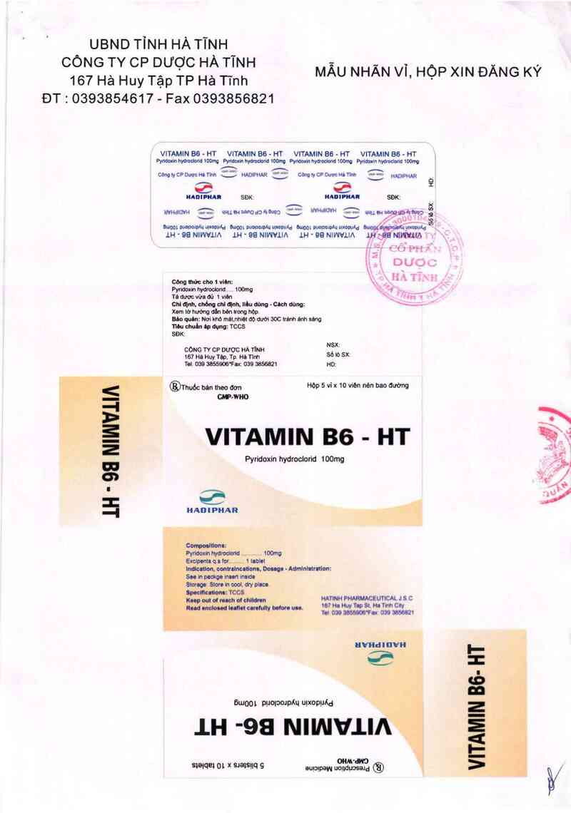 thông tin, cách dùng, giá thuốc Vitamin B6 - HT - ảnh 1