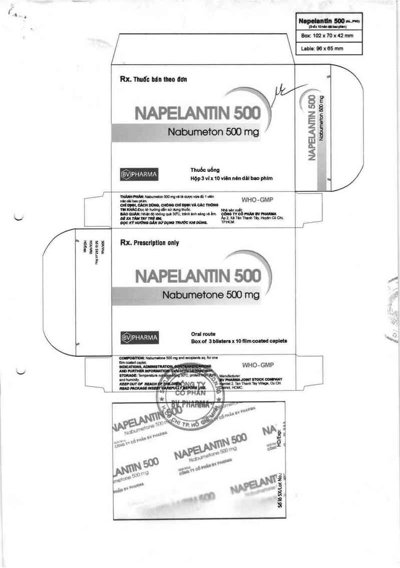 thông tin, cách dùng, giá thuốc Napelantin 500 - ảnh 1