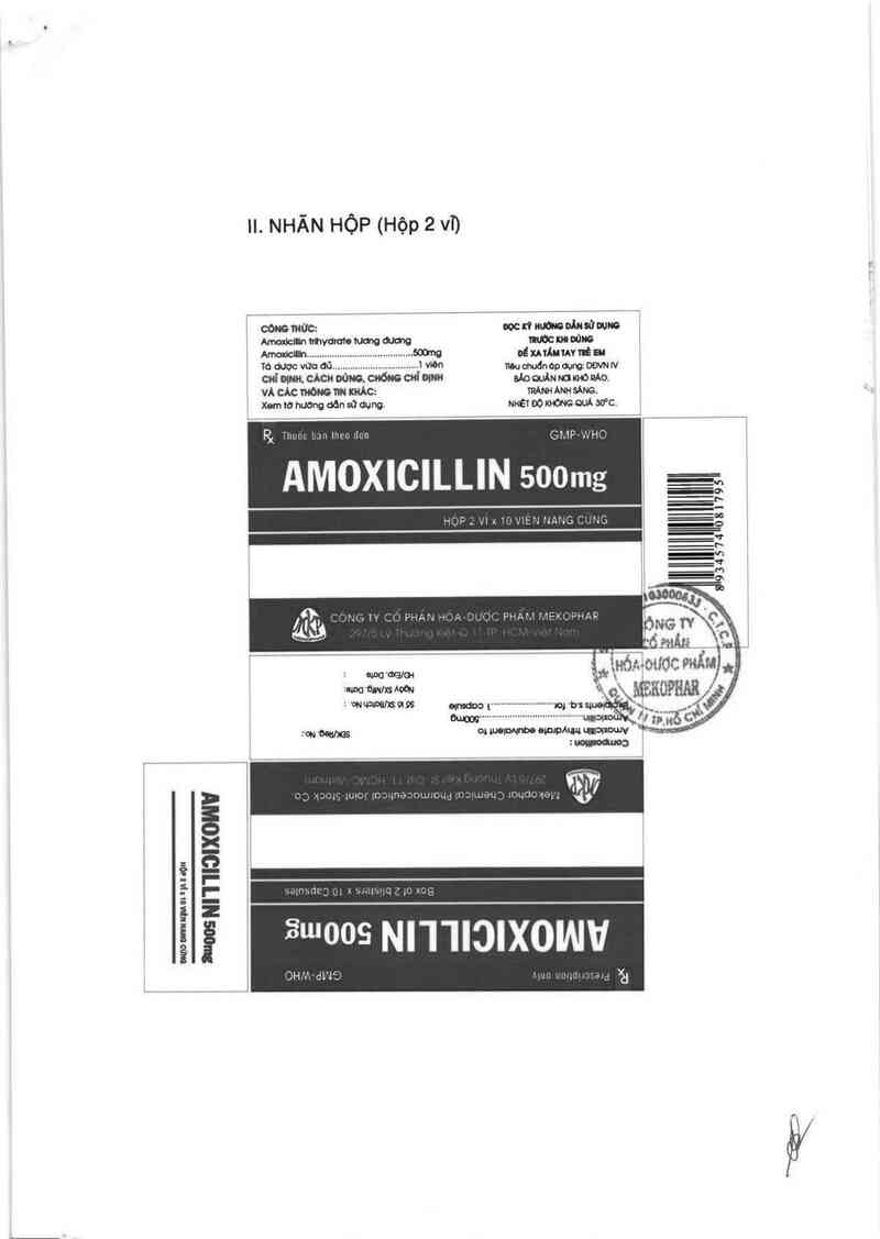 thông tin, cách dùng, giá thuốc Amoxicillin 500mg - ảnh 1