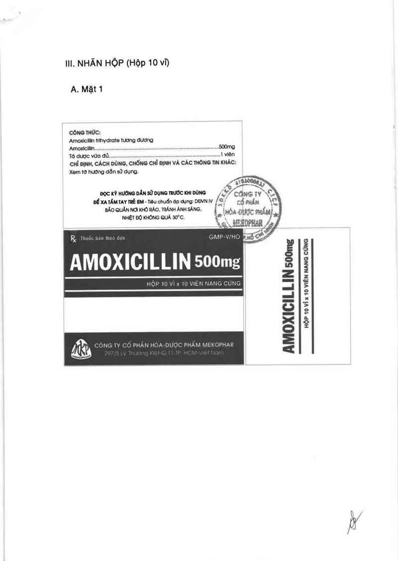 thông tin, cách dùng, giá thuốc Amoxicillin 500mg - ảnh 2