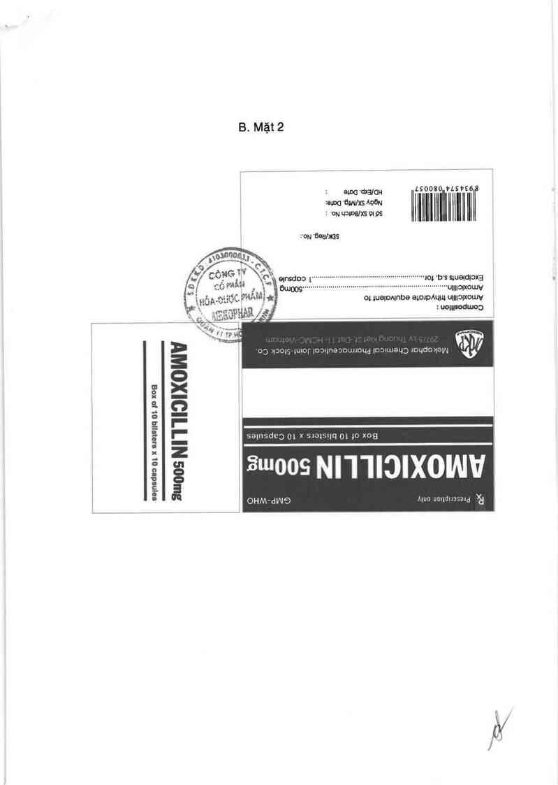 thông tin, cách dùng, giá thuốc Amoxicillin 500mg - ảnh 3