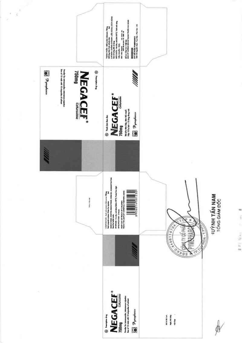 thông tin, cách dùng, giá thuốc Negacef 750mg - ảnh 4