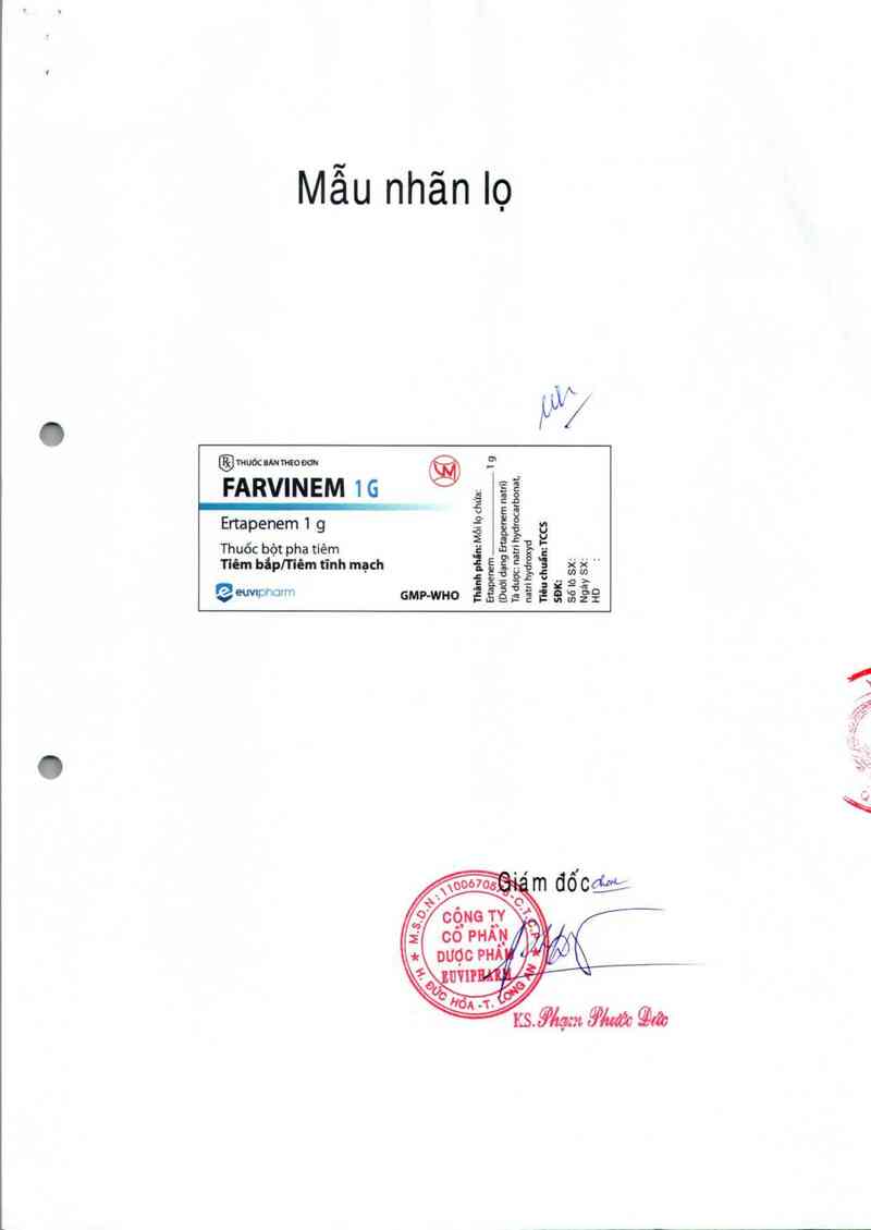 thông tin, cách dùng, giá thuốc Farvinem 1 g - ảnh 1