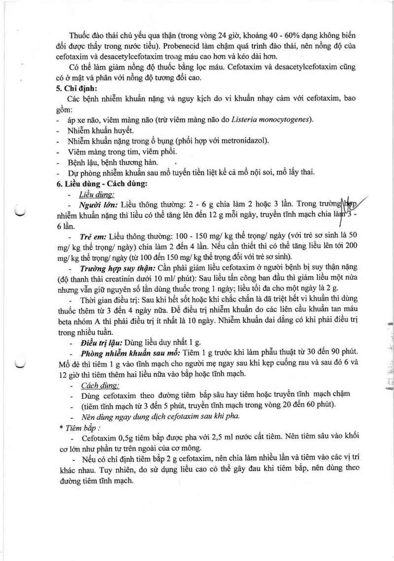 thông tin, cách dùng, giá thuốc Cefotaxime ACS Dobfar - ảnh 5