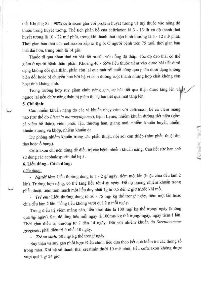 thông tin, cách dùng, giá thuốc Ceftriaxone ACS Dobfar - ảnh 6