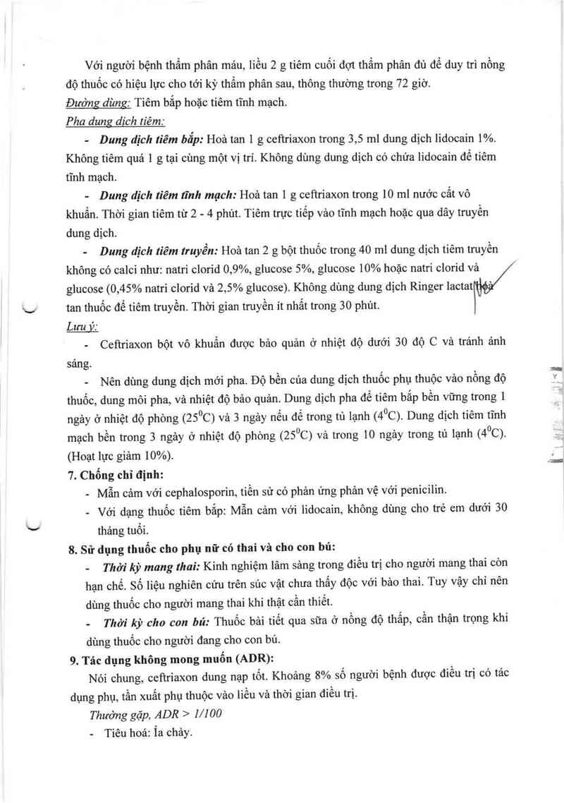 thông tin, cách dùng, giá thuốc Ceftriaxone ACS Dobfar - ảnh 7