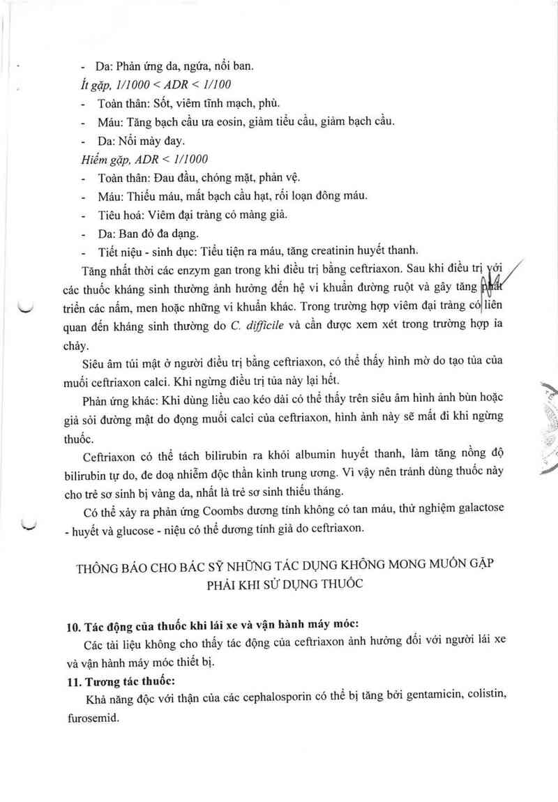 thông tin, cách dùng, giá thuốc Ceftriaxone ACS Dobfar - ảnh 8