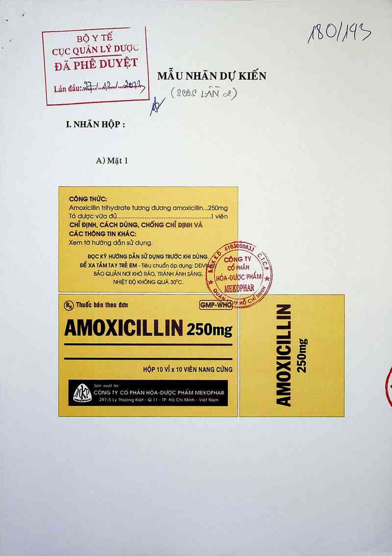 thông tin, cách dùng, giá thuốc Amoxicillin 250mg - ảnh 0