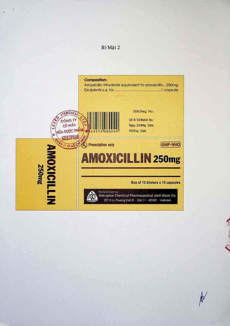 thông tin, cách dùng, giá thuốc Amoxicillin 250mg - ảnh 1