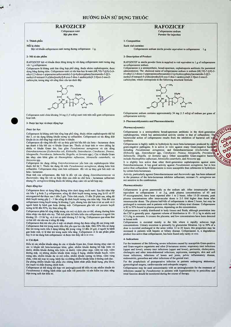 thông tin, cách dùng, giá thuốc Rafozicef - ảnh 4