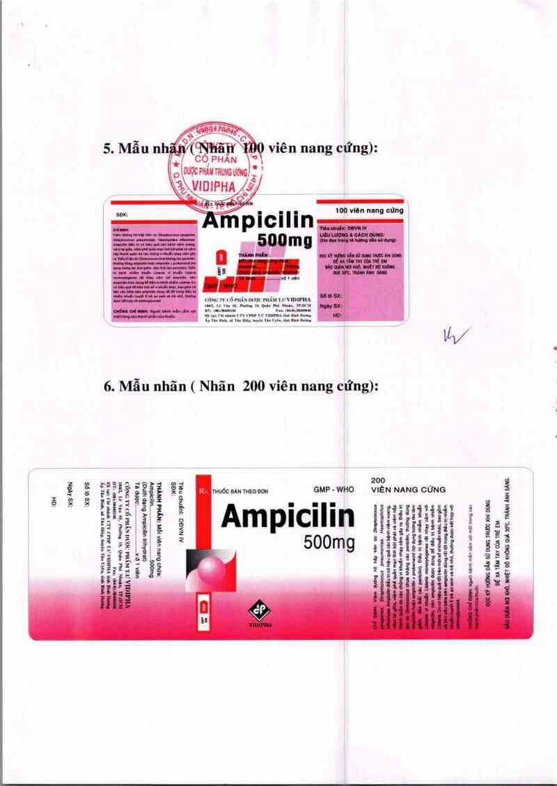 thông tin, cách dùng, giá thuốc Ampicilin 500mg - ảnh 4