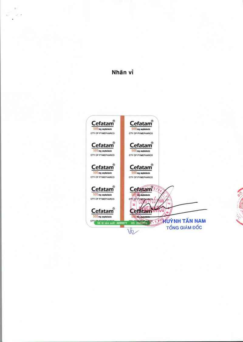 thông tin, cách dùng, giá thuốc Cefatam 500 - ảnh 1