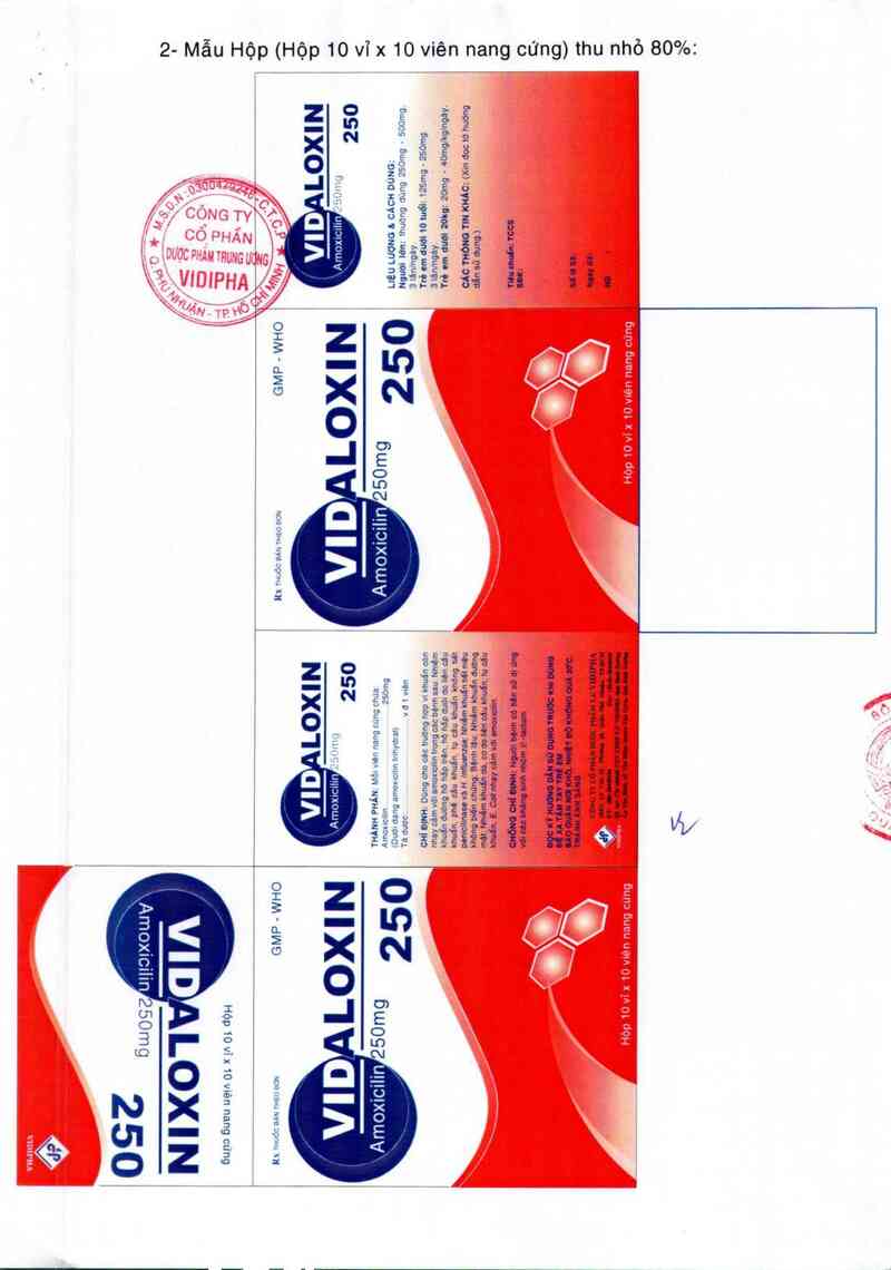 thông tin, cách dùng, giá thuốc Vidaloxin 250 - ảnh 1