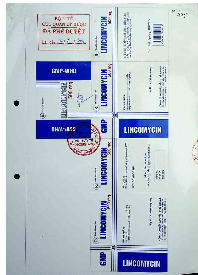 thông tin, cách dùng, giá thuốc Lincomycin 500 mg - ảnh 0