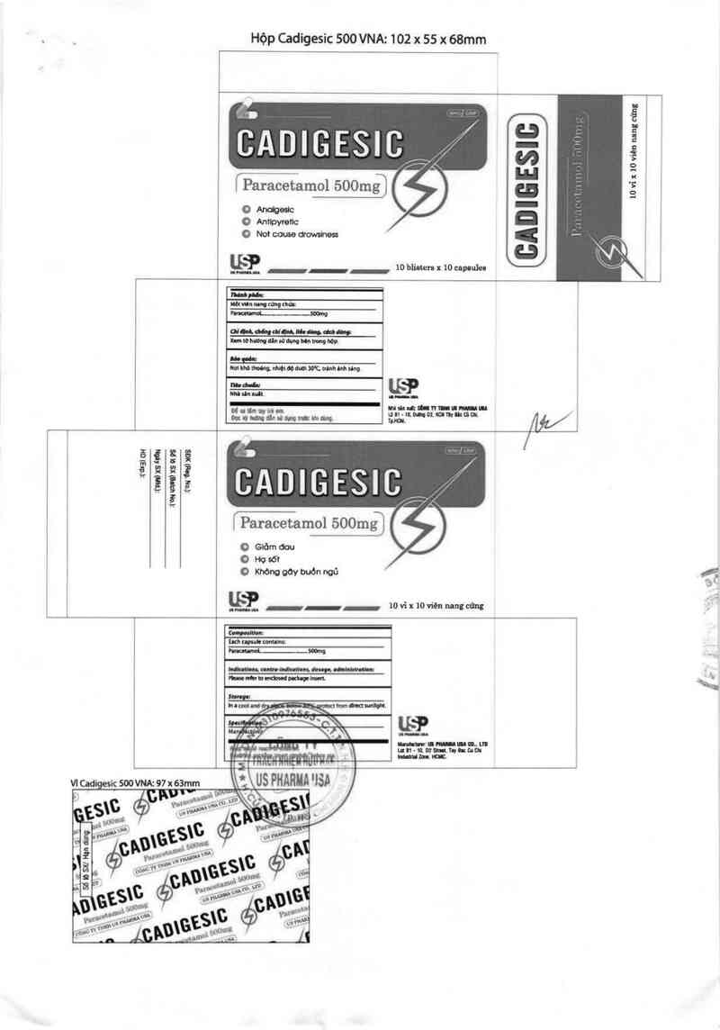 thông tin, cách dùng, giá thuốc Cadigesic - ảnh 1